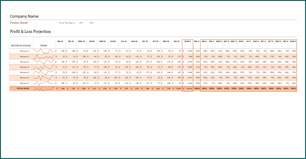 Basic Profit And Loss Template