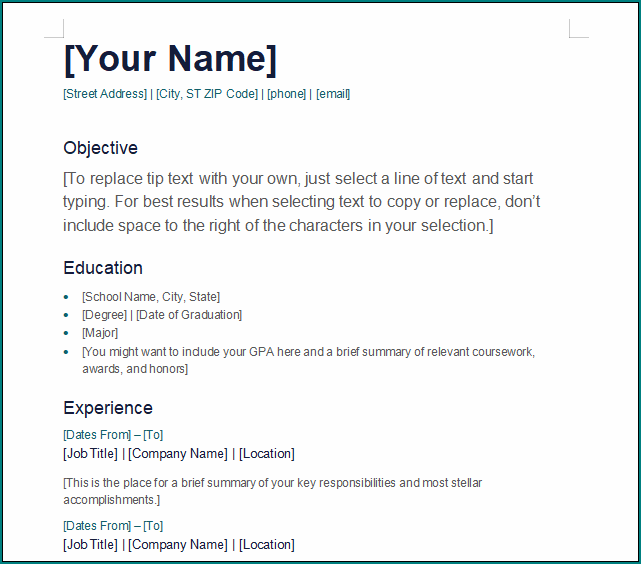 Basic Resume Template