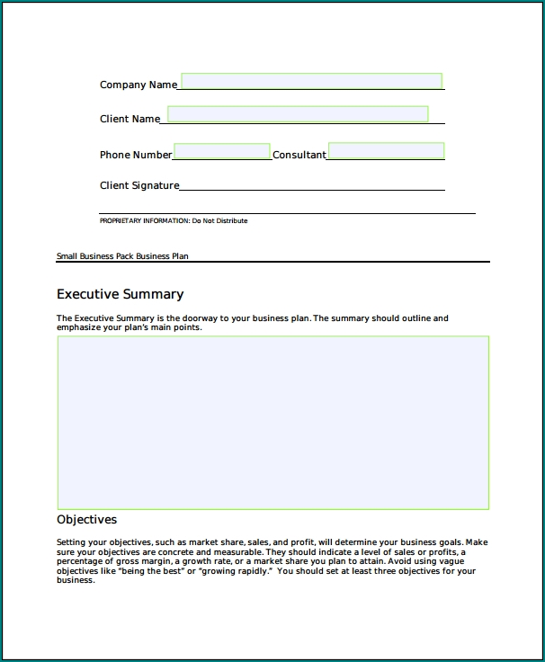 Business Plan Template Word Example