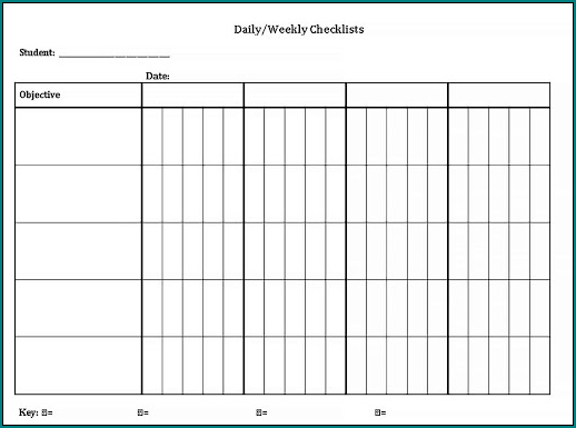 Daily Checklist Template Example