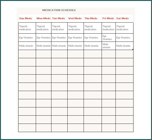 Daily Medication Schedule Template Sample