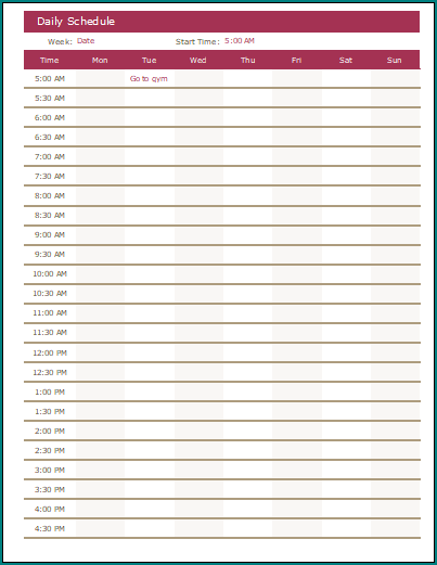 Daily Schedule Template