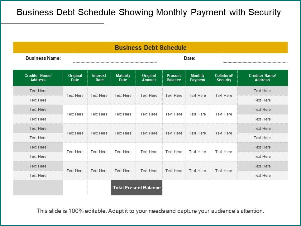 Debt Schedule Template Sample