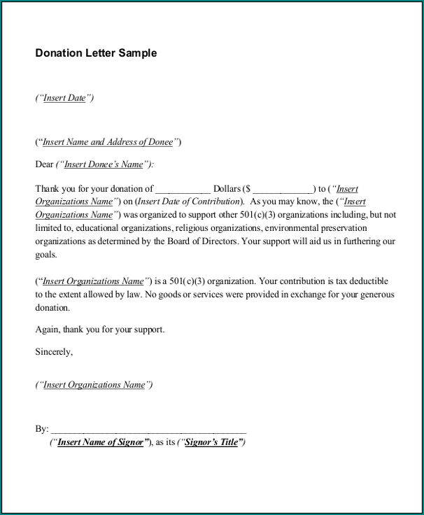 Donation Letter Template Example