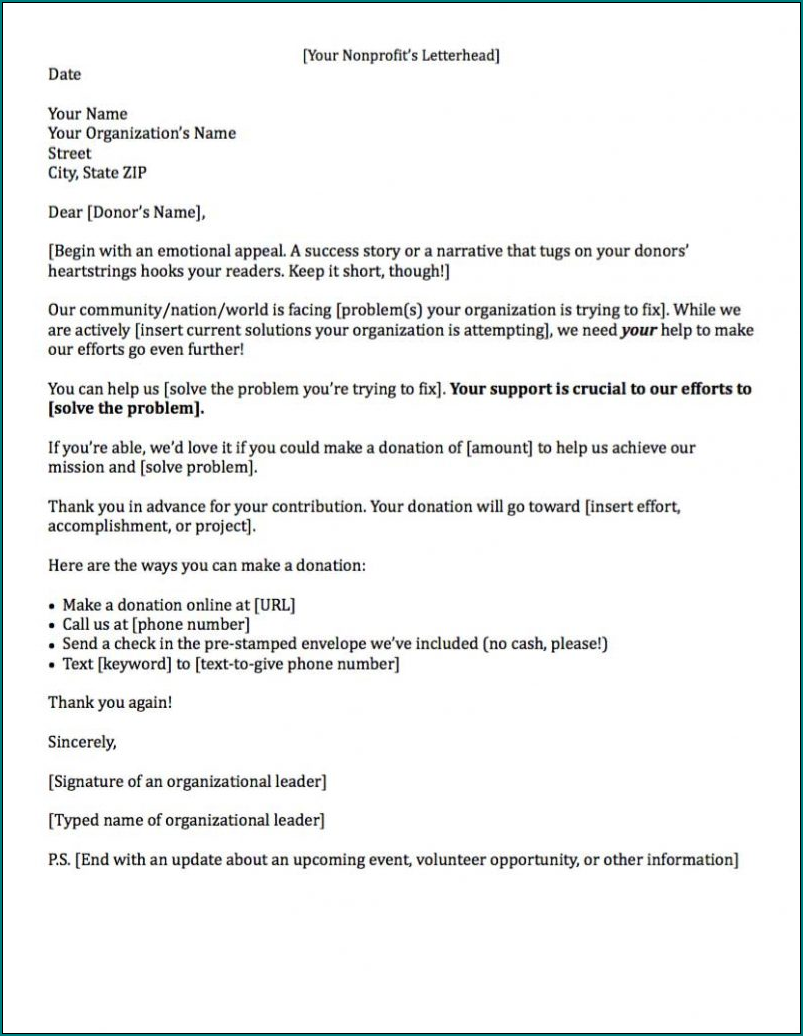 Donation Letter Template Sample