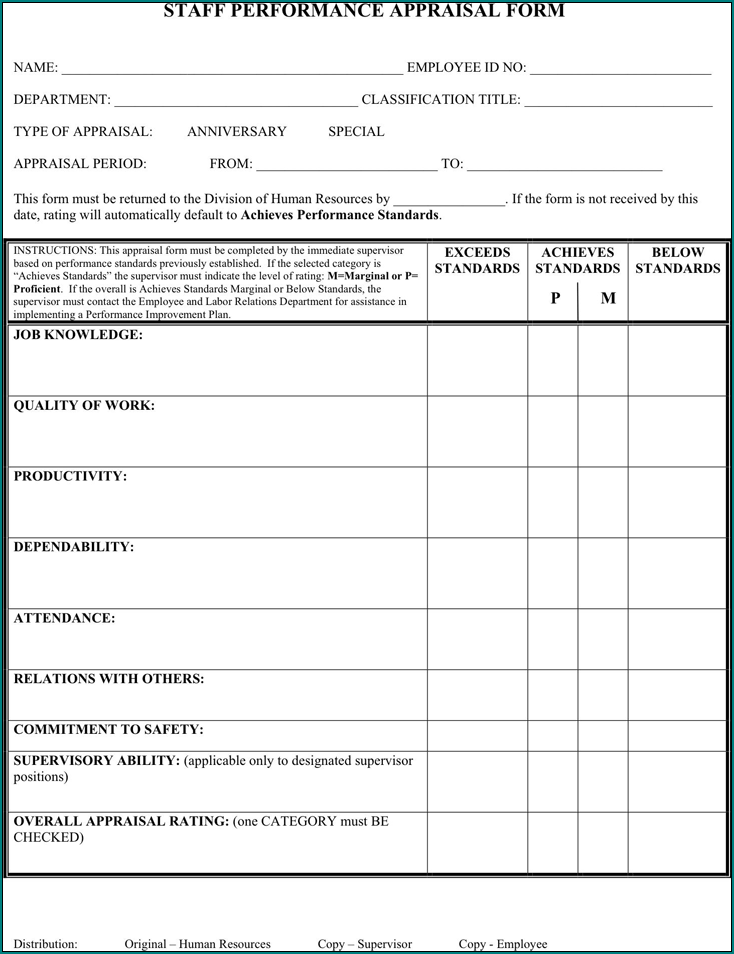 Employee Performance Appraisal Form Example