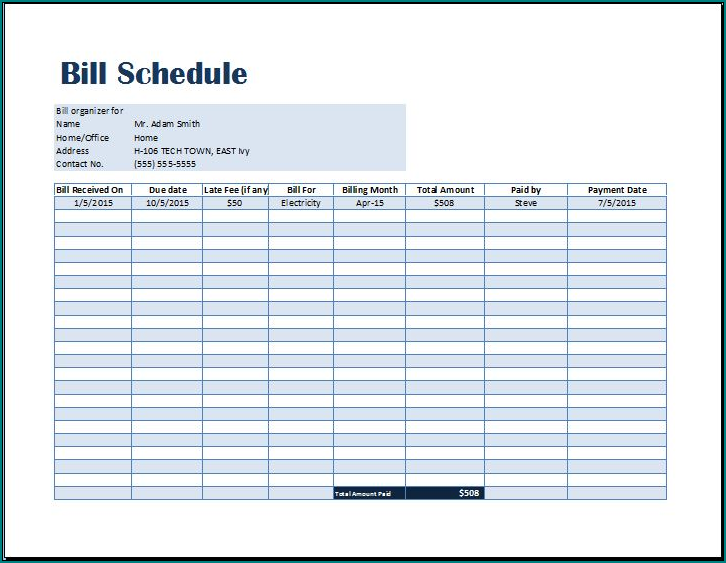 Example of Bill Pay Schedule Template