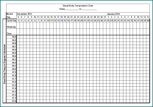 Example of Body Temperature Tracker Template