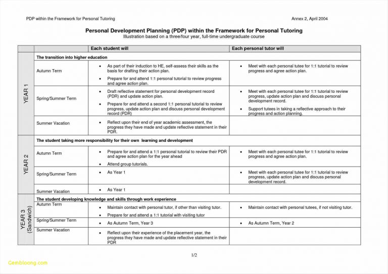 Example of Career Development Planning Template Example of Career Development Planning Template