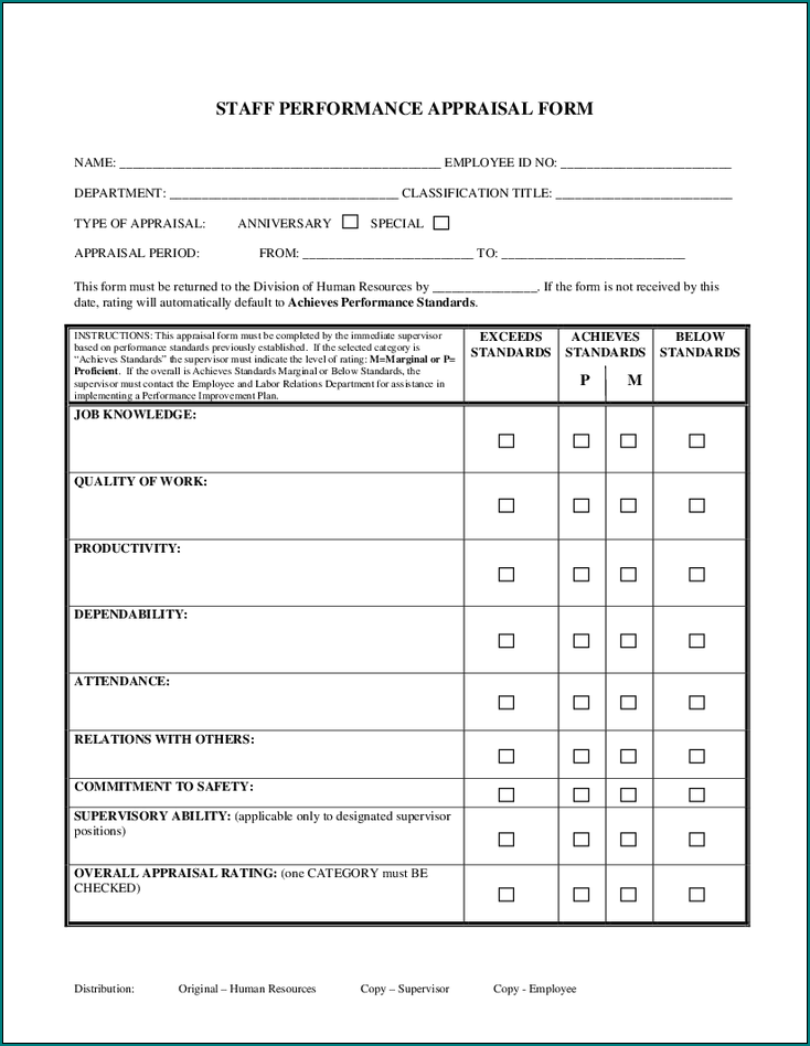 Example of Employee Performance Appraisal Form
