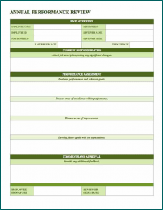 Example of Employee Review Template