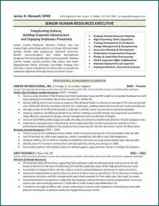 Example of Executive Resume Template