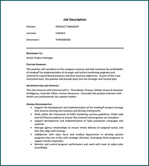 Example of Job Responsibility