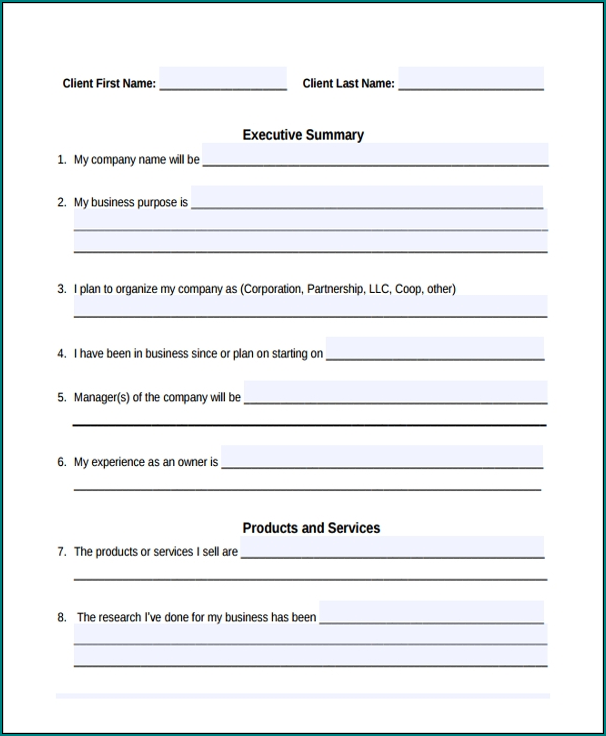 Example of New Business Plan