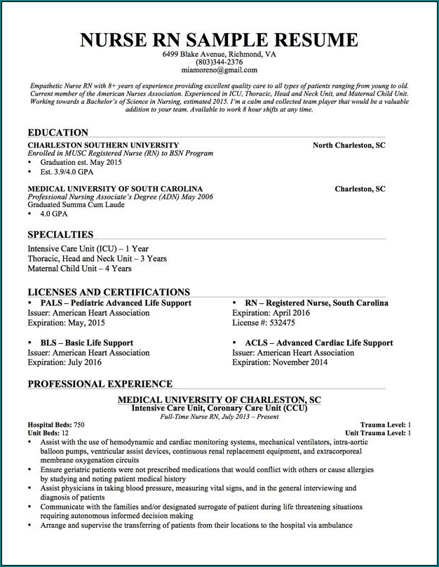 Example of Nursing Resume Template