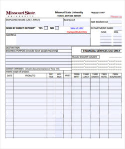 Example of Printable Travel Expense Calculator Template