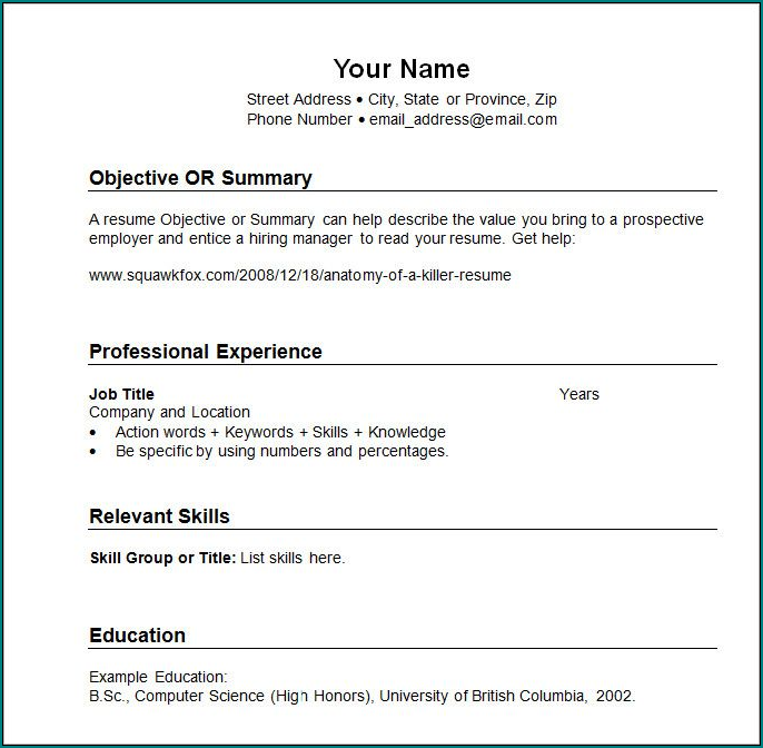 Example of Professional Resume Format