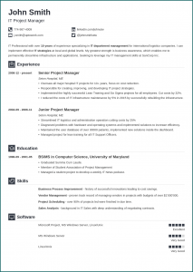 Example of Professional Resume Template