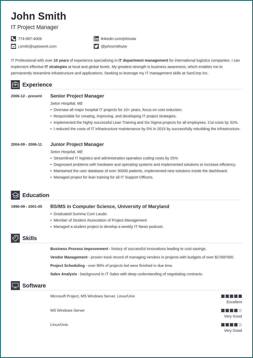 Example of Professional Resume Template