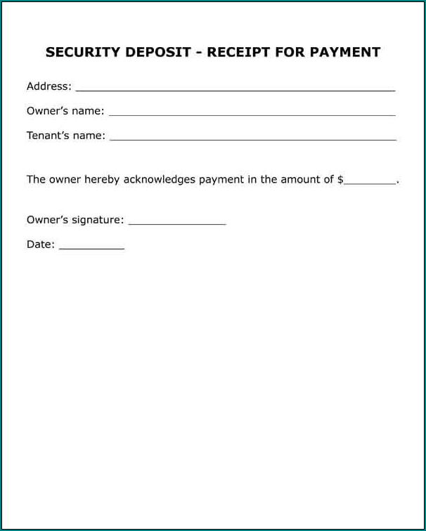 Example of Security Receipt Template