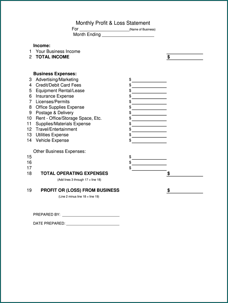Example of Simple Profit And Loss Statement Template