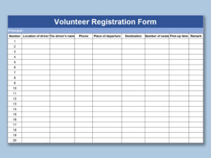 Example of Volunteer Registration Form