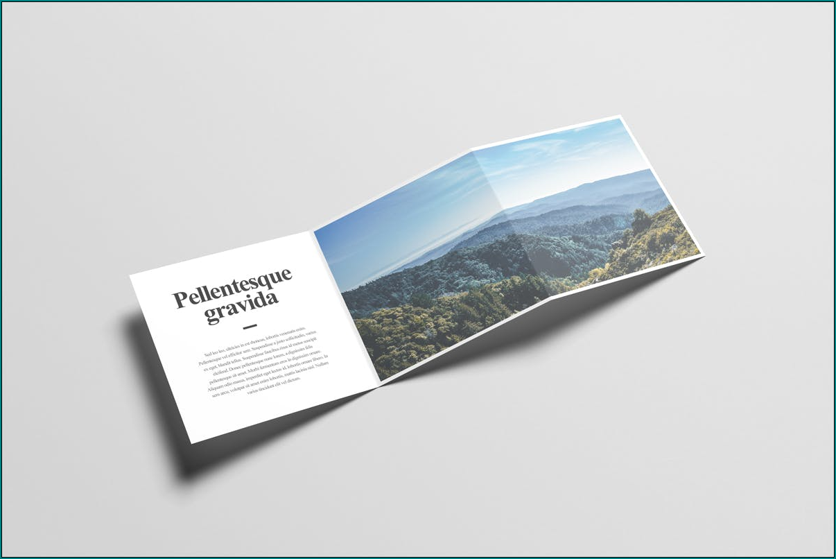 Example of Z Fold Brochure Template