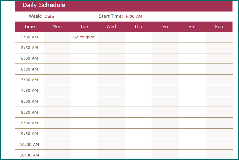 Excel Daily Schedule Template