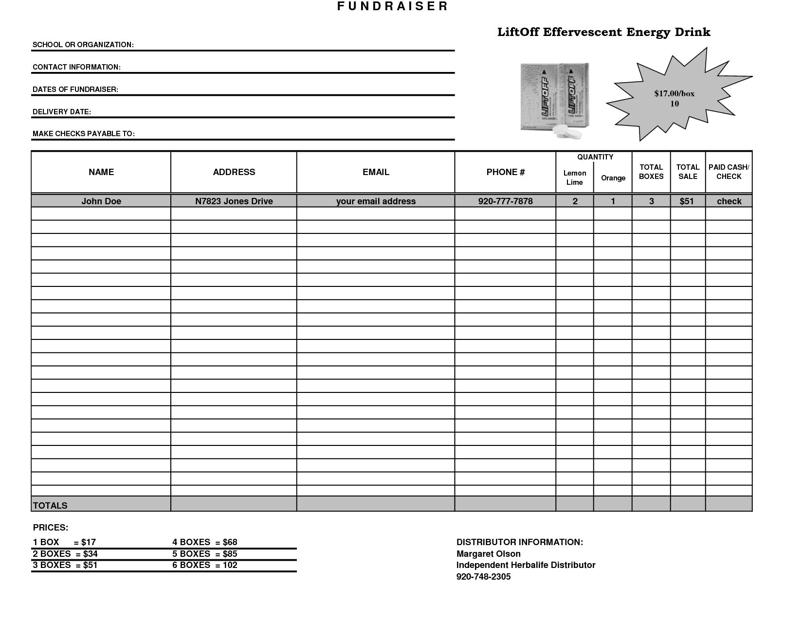 Fundraiser Planning Template Example Fundraiser Planning Template Example