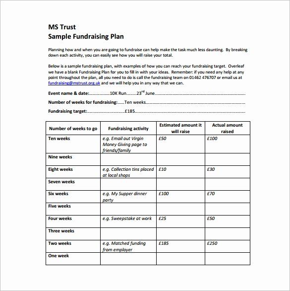 Fundraiser Planning Template Fundraiser Planning Template