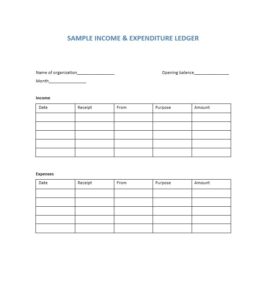 Income and Expense Ledger