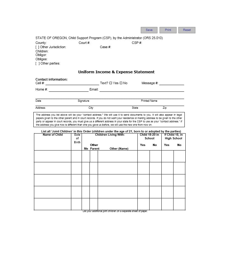 Income and Expense Ledger Income and Expense Ledger