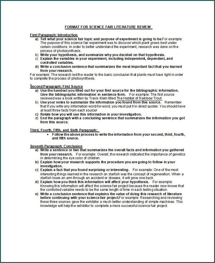 Literature Review Layout Example