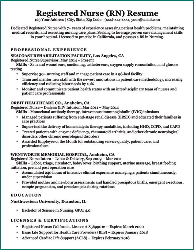 Nursing Resume Template Example