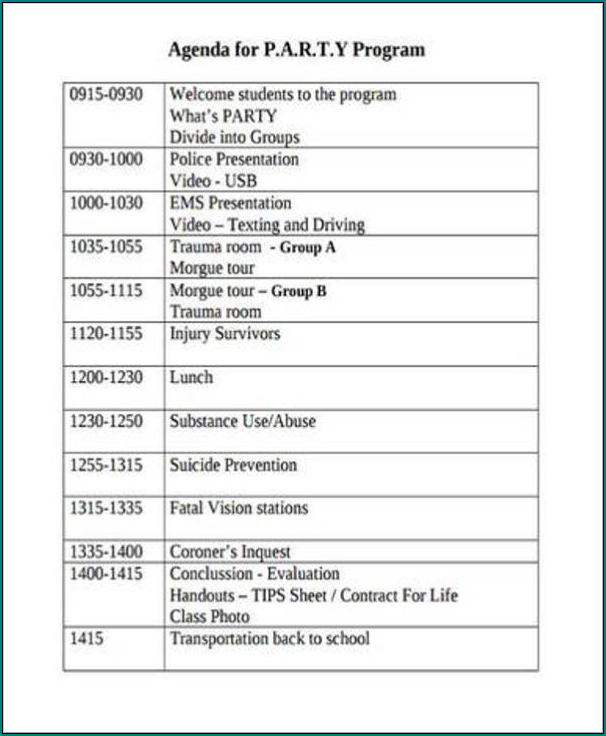 Party Program Template Sample