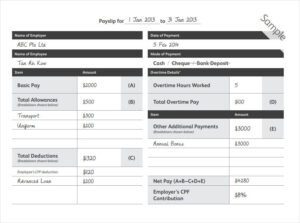Payslip Booklet Template