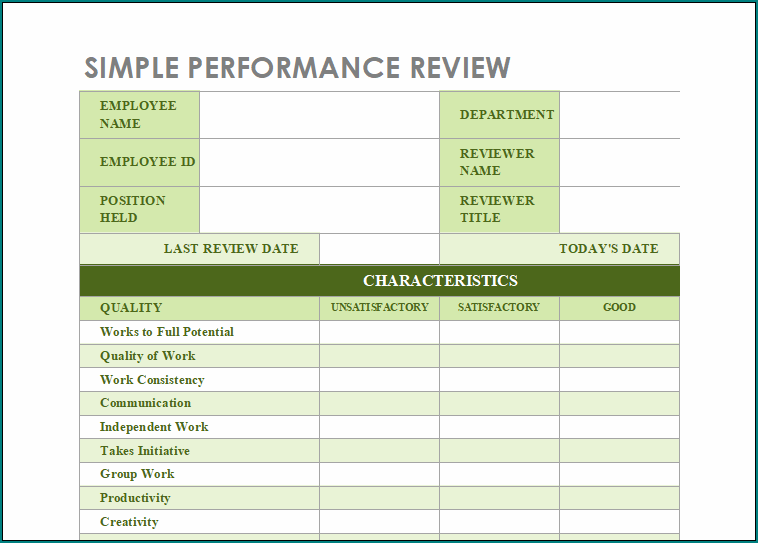 Performance Appraisal Form