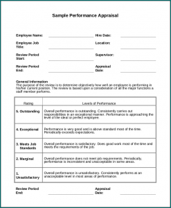 Performance Appraisal Template Example