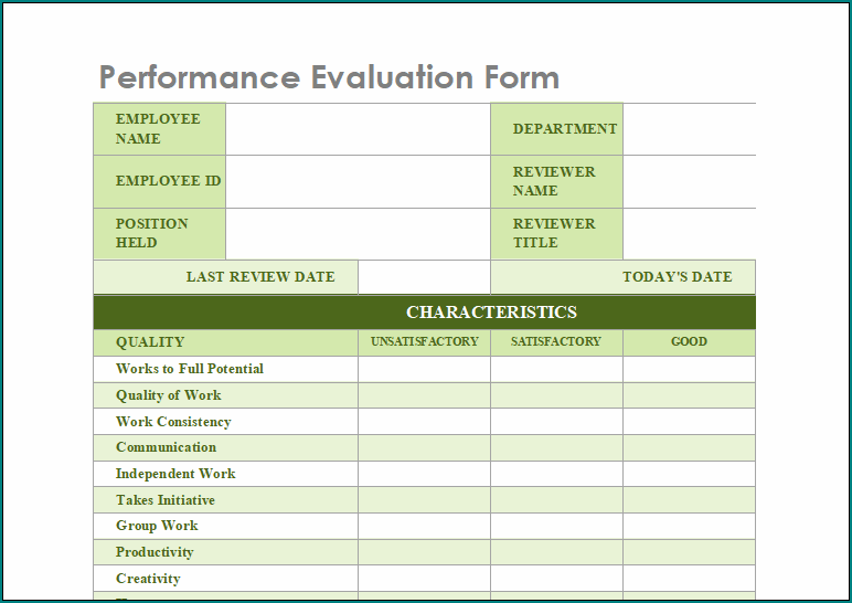 Performance Evaluation Form