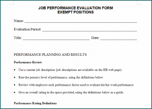 Performance Evaluation Template