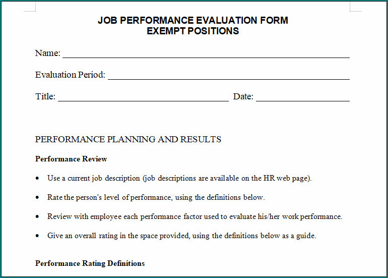 Performance Evaluation Template