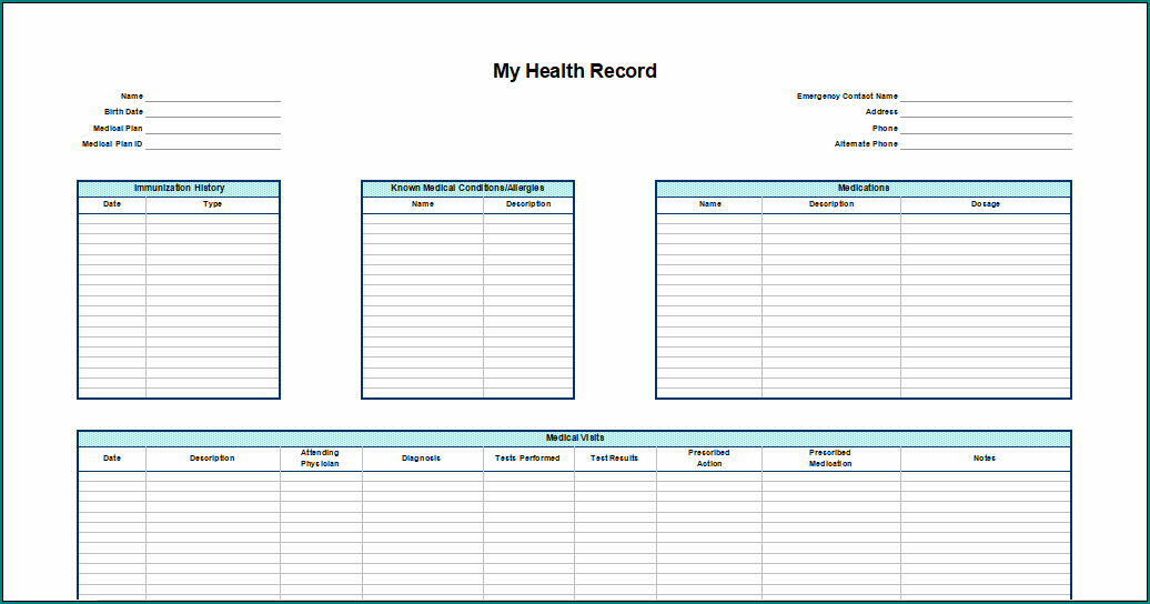 Personal Medical Health Record Sheet Template
