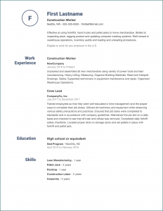 Professional Resume Template Sample