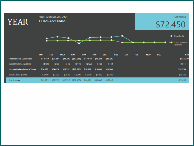Profit And Loss Account Template