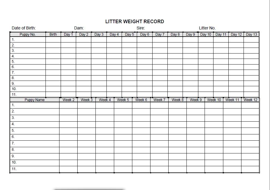 Puppy Weight Chart Template Example