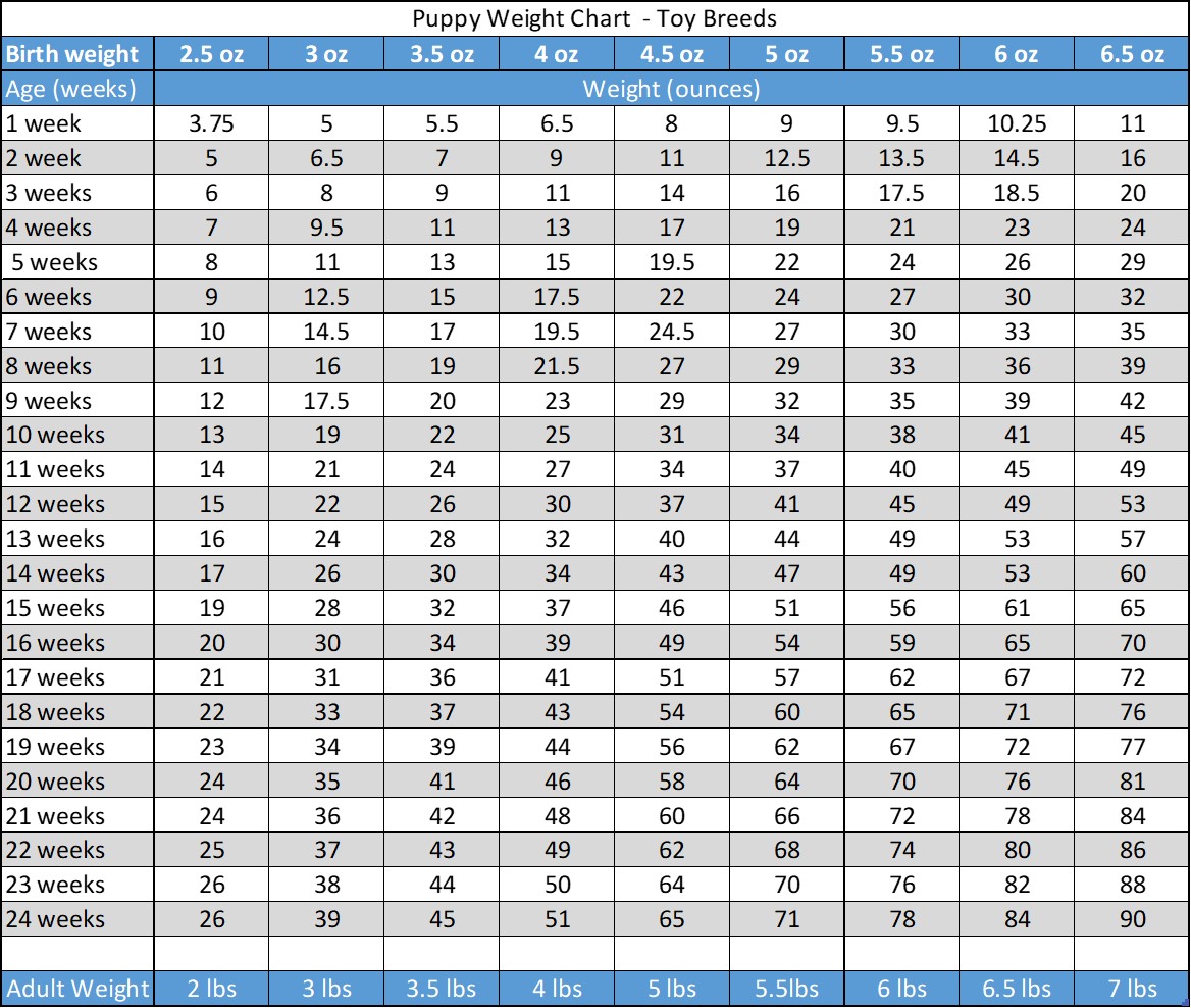 Puppy Weight Chart Template Sample