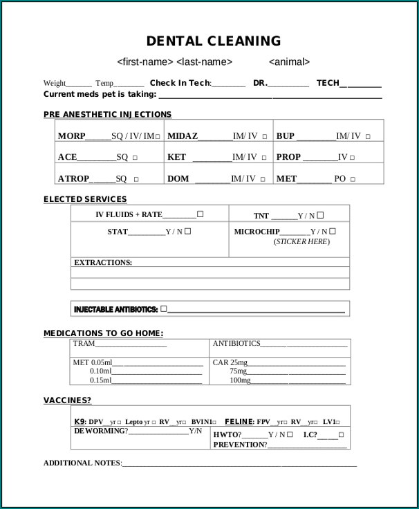 Sample of Dentist Receipt Template