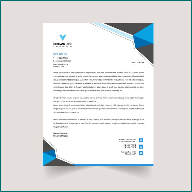 Sample of Professional Letterhead Template