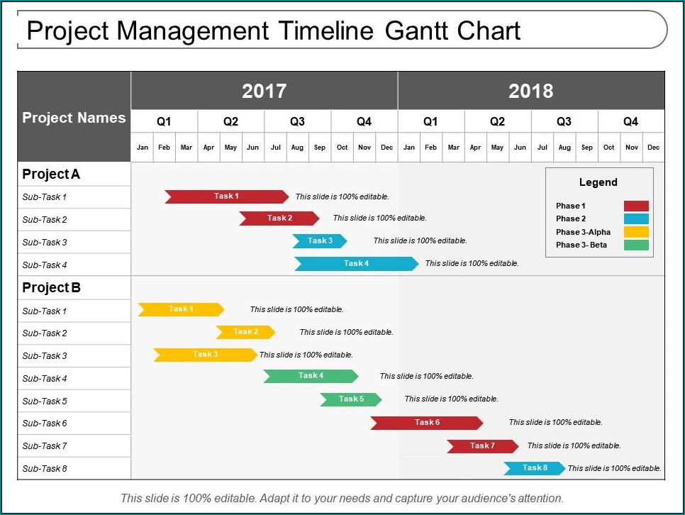 Sample of Project Management Timeline Template