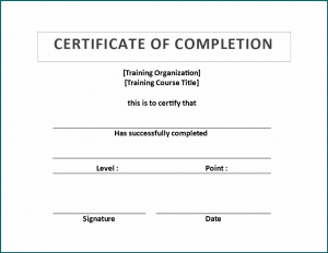 Sample of Training Completion Certificate Template